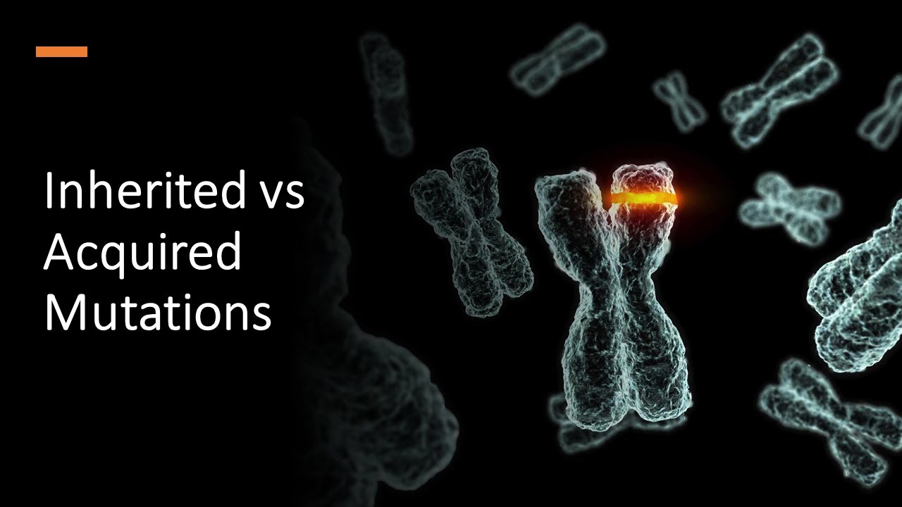 Inherited vs Acquired Mutations
