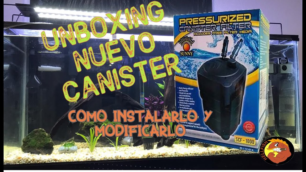 Unboxing Canister SCF 1000 😍🐟🐠🐡
