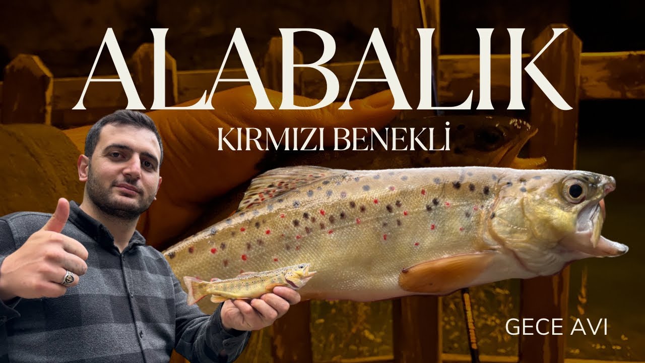 Kırmızı Benekli Alabalık Avı 🔥😎 Gece Avı & Erzurum