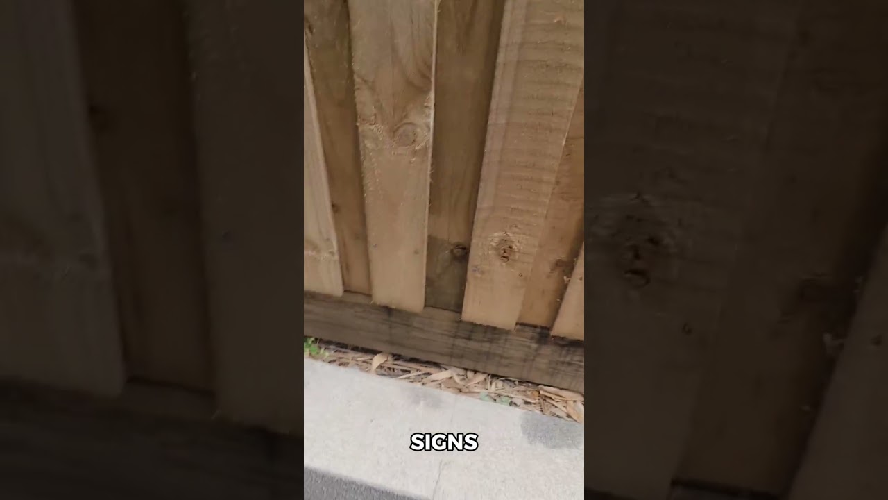 Cracked Walls & Loose Tiles: Home Inspection Gone Wrong!