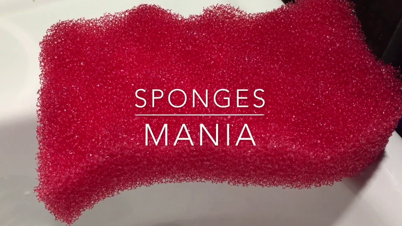 ASMR SPONGES | Dry ripping plastic sponge | Sponge, destroy sounds