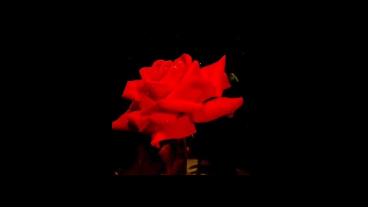 АРИЯ ~ МЕРТВАЯ ЗОНА speed up + reverd МНЕ НИКОГДА НЕ ВОЙТИ В ЭТОТ САД 