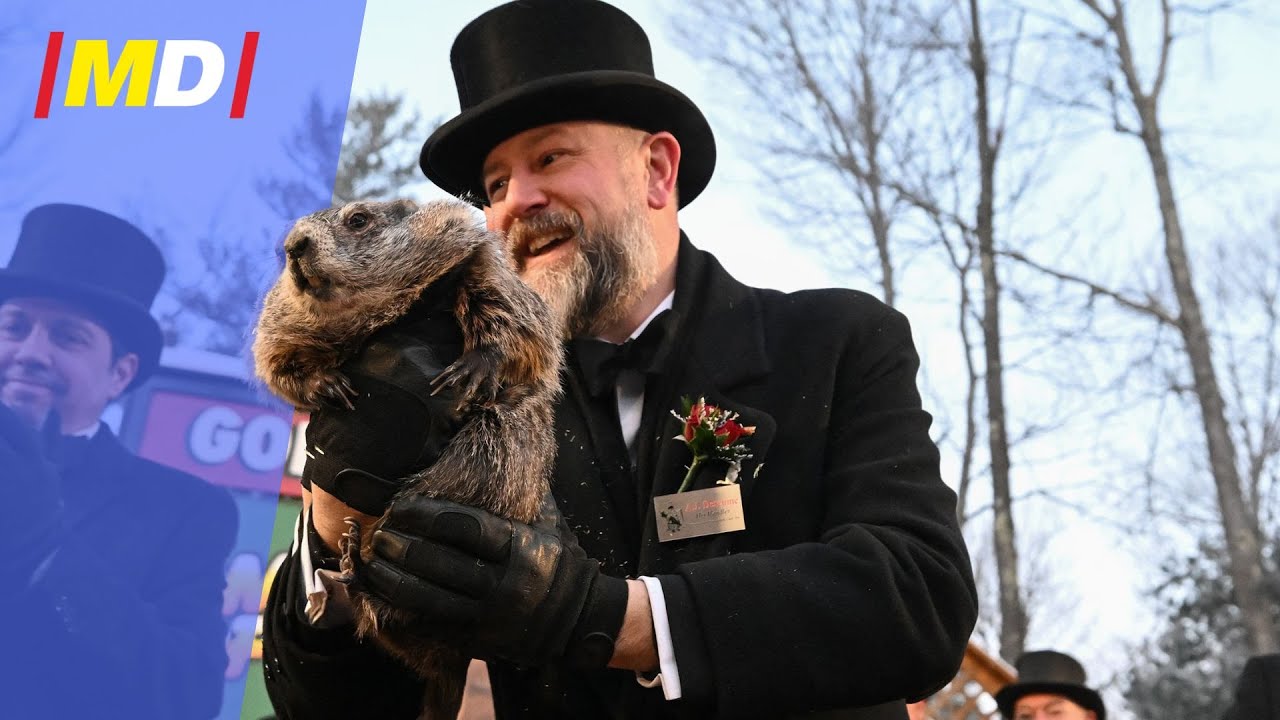 🐿️❄️ Сурок Фил предсказывает: 