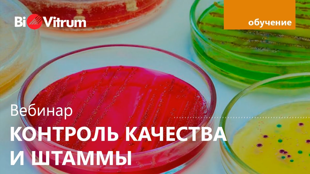 Контроль качества сред. Штаммы