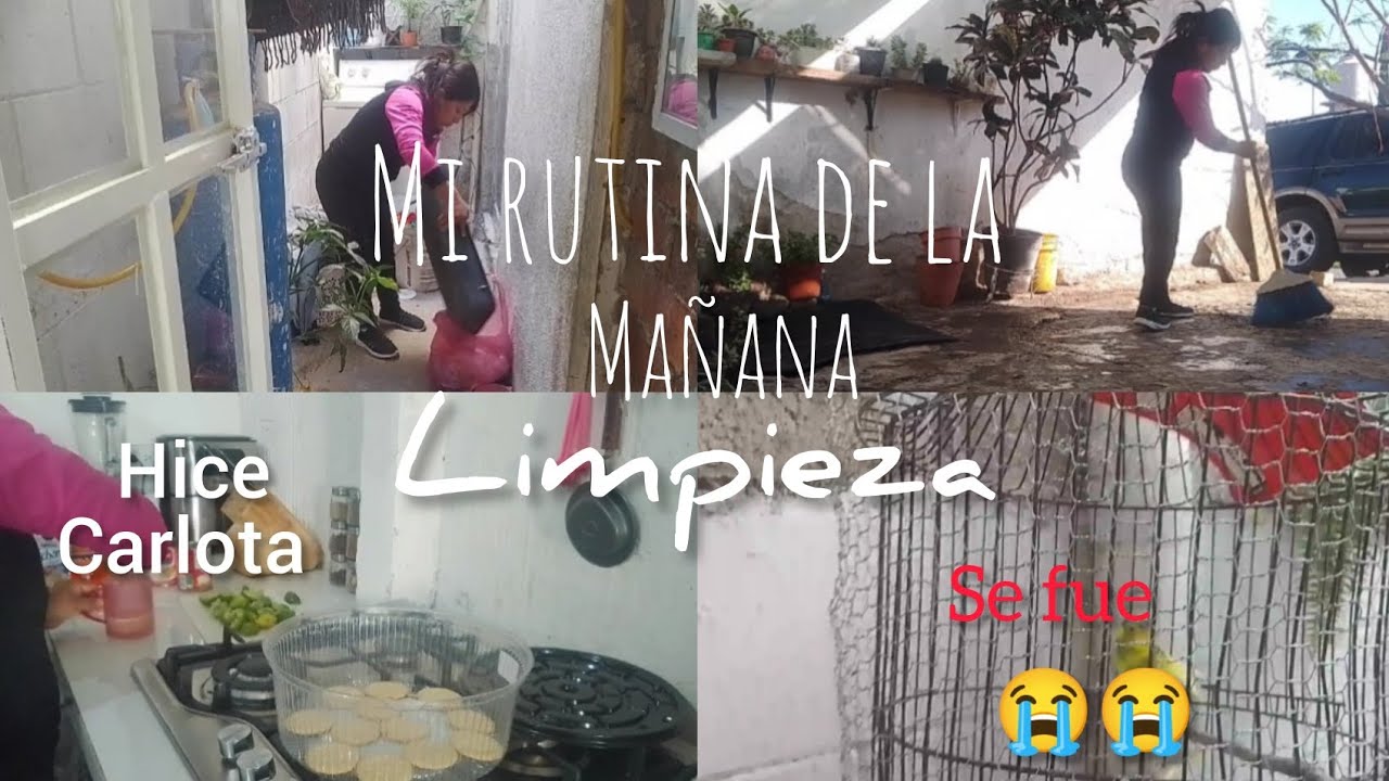 Mi rutina de la mañana limpieza 🧼 hice Carlota 😋🥧 se fue 🐦😥