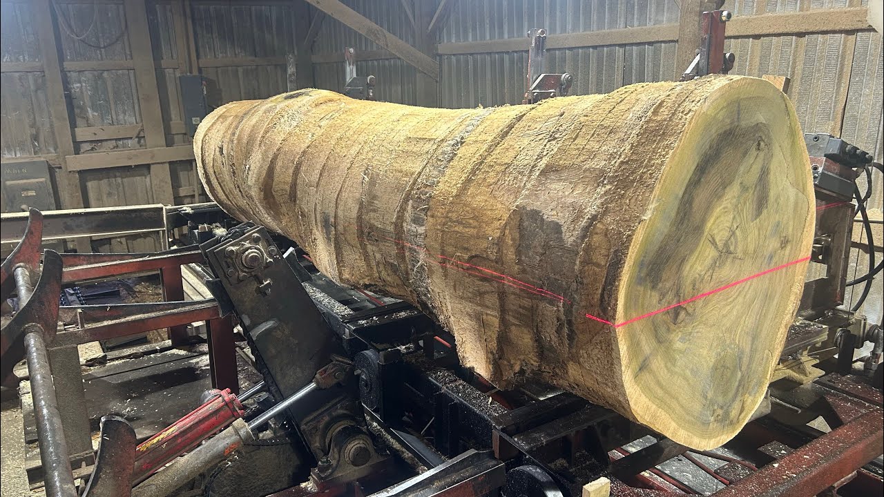 Saw-Milling a 3 Foot Diameter Tulip Poplar Top Log! Plus a Different View! #204