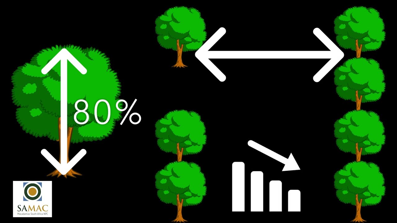 SAMAC Maintenance pruning - Part 1: Principles and advantages