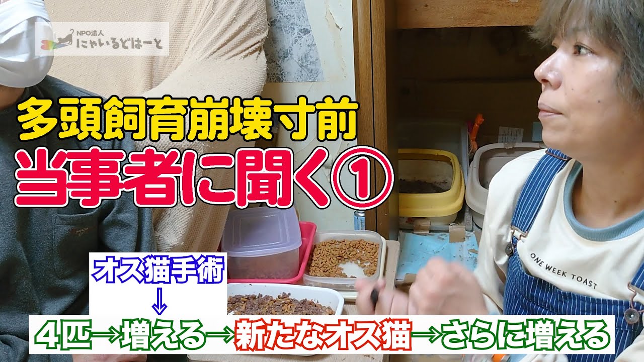 #25 【当事者と対談①】なぜ猫は２５匹に？「避妊・去勢は知っていた」多頭飼育崩壊寸前…