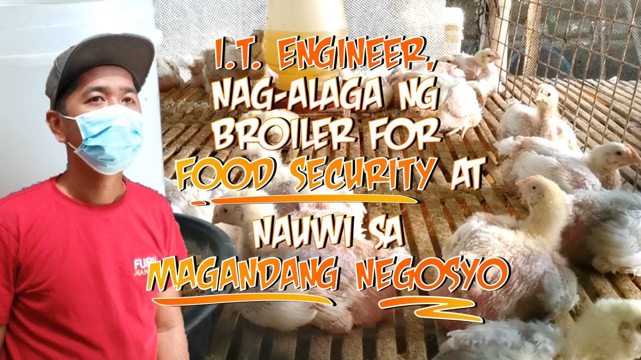 I.T. Engineer, Nag-alaga ng Broiler (45 Days) for Food Security at Nauwi sa Magandang Negosyo