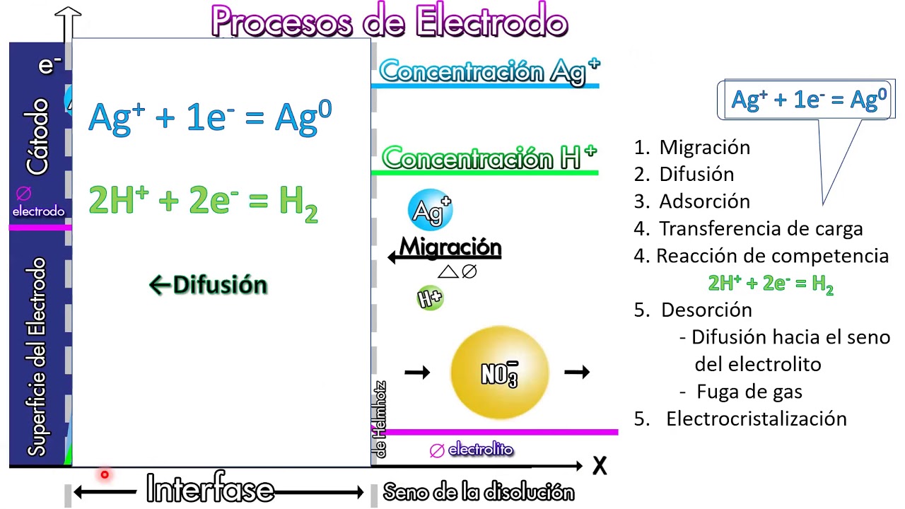 Procesos de Electrodo en la reacción electroquímica