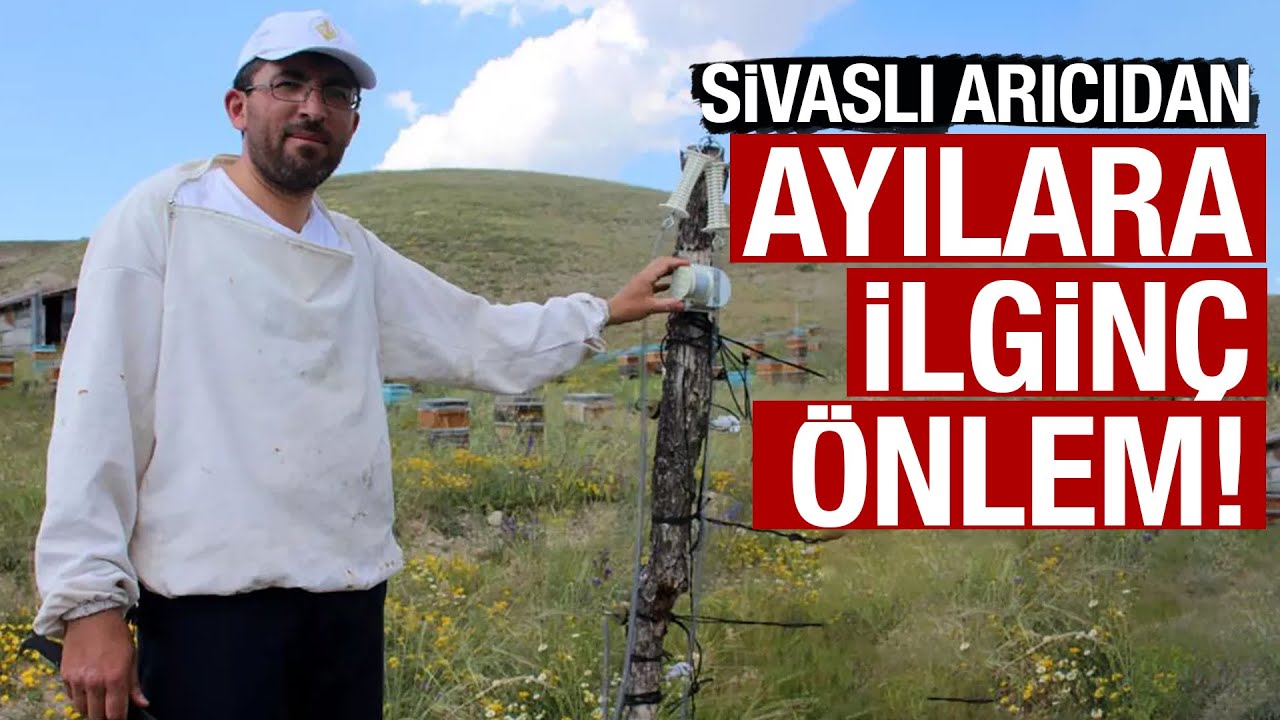 Sivaslı arıcıdan ayılara ilginç önlem!