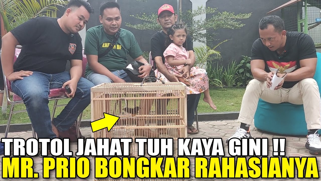 MR. PRIO BOYONG MURAI TROTOL DARI JAKARTA + KASIH TIPS MILIH TROTOL CALON HARGA 3 MILYAR