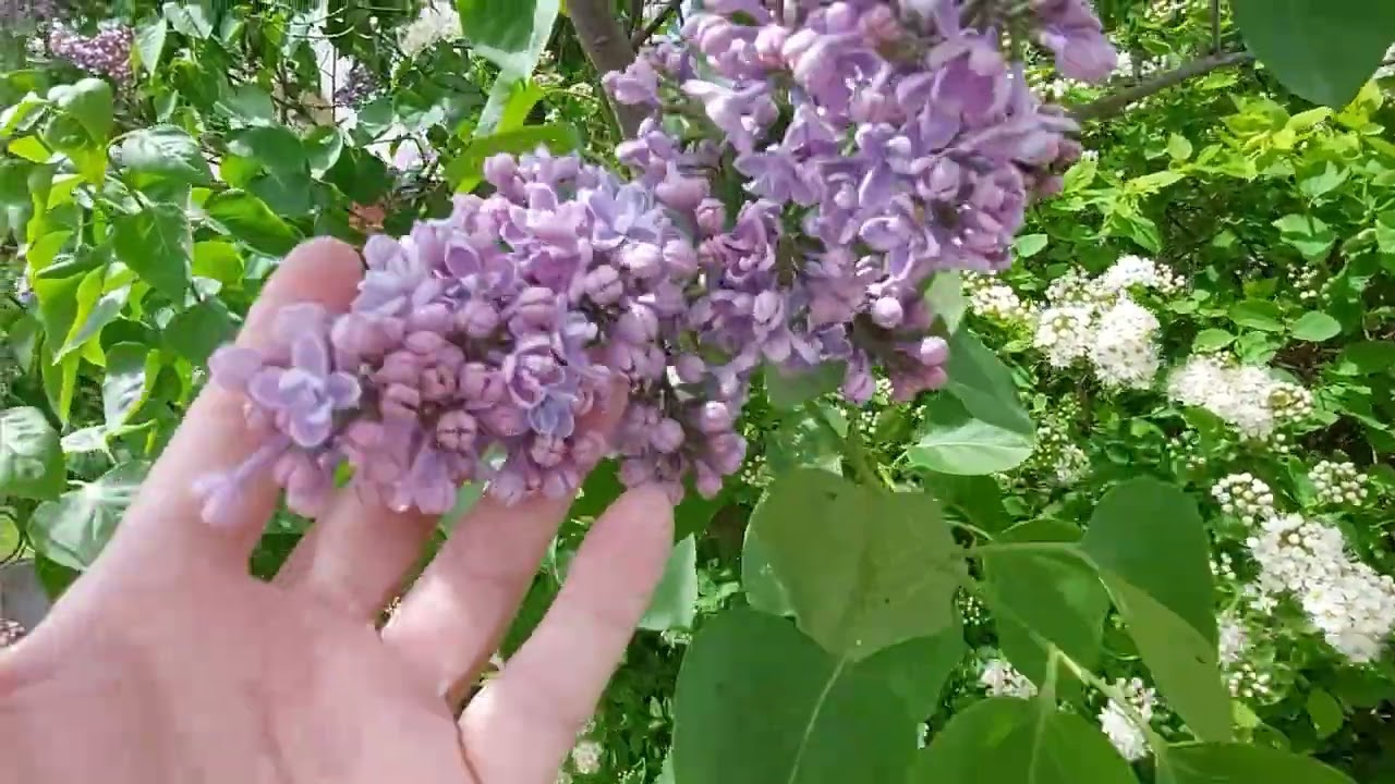 Мой Солигорск. Погуляем по 