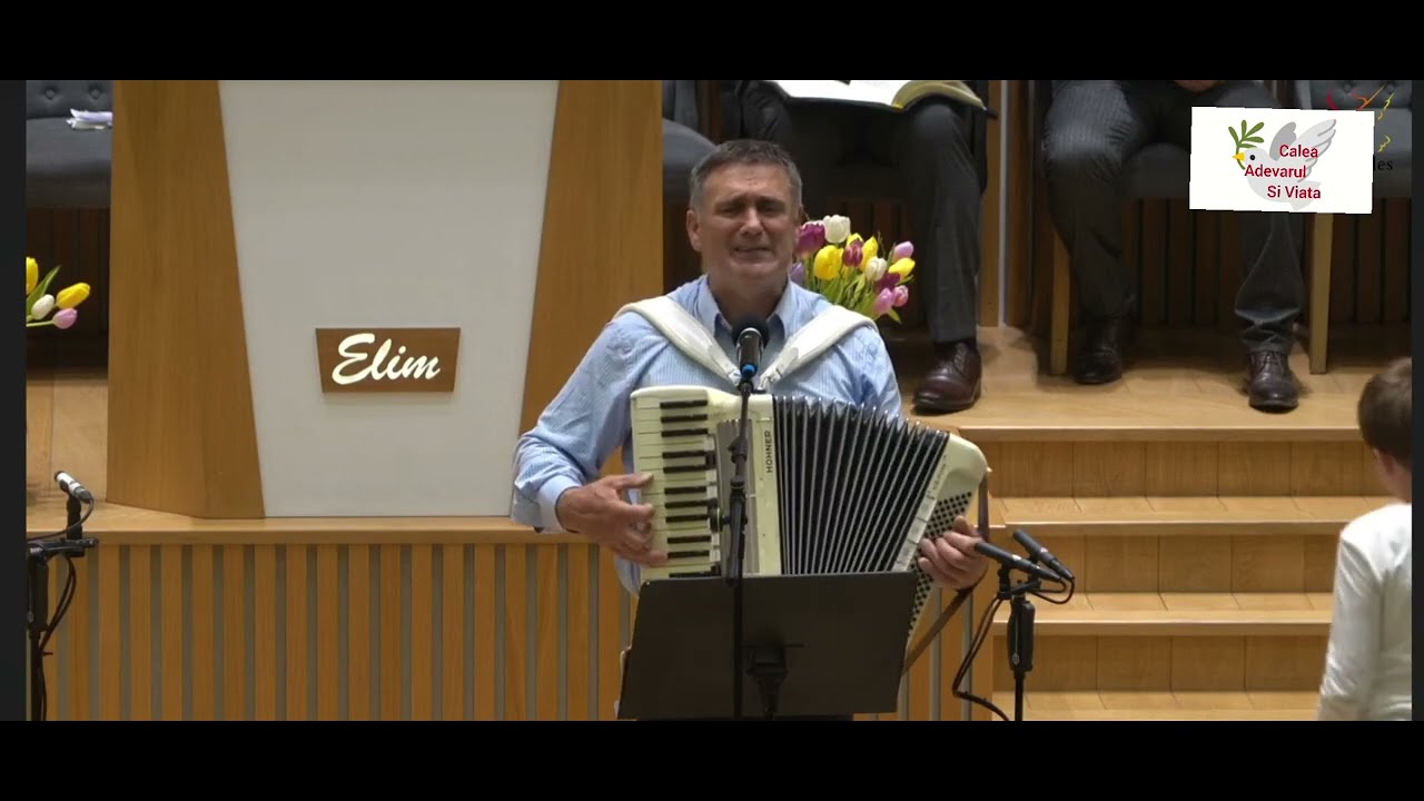 Ilie Puha - Un superb colaj