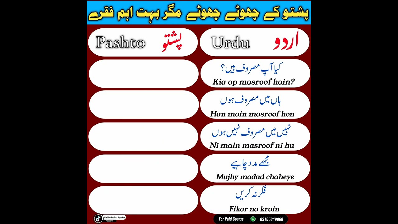 Top 100 Pashto Basic Phrases For beginners | Daily Routine 100 Sentences in Pashto |Pashto into urdu