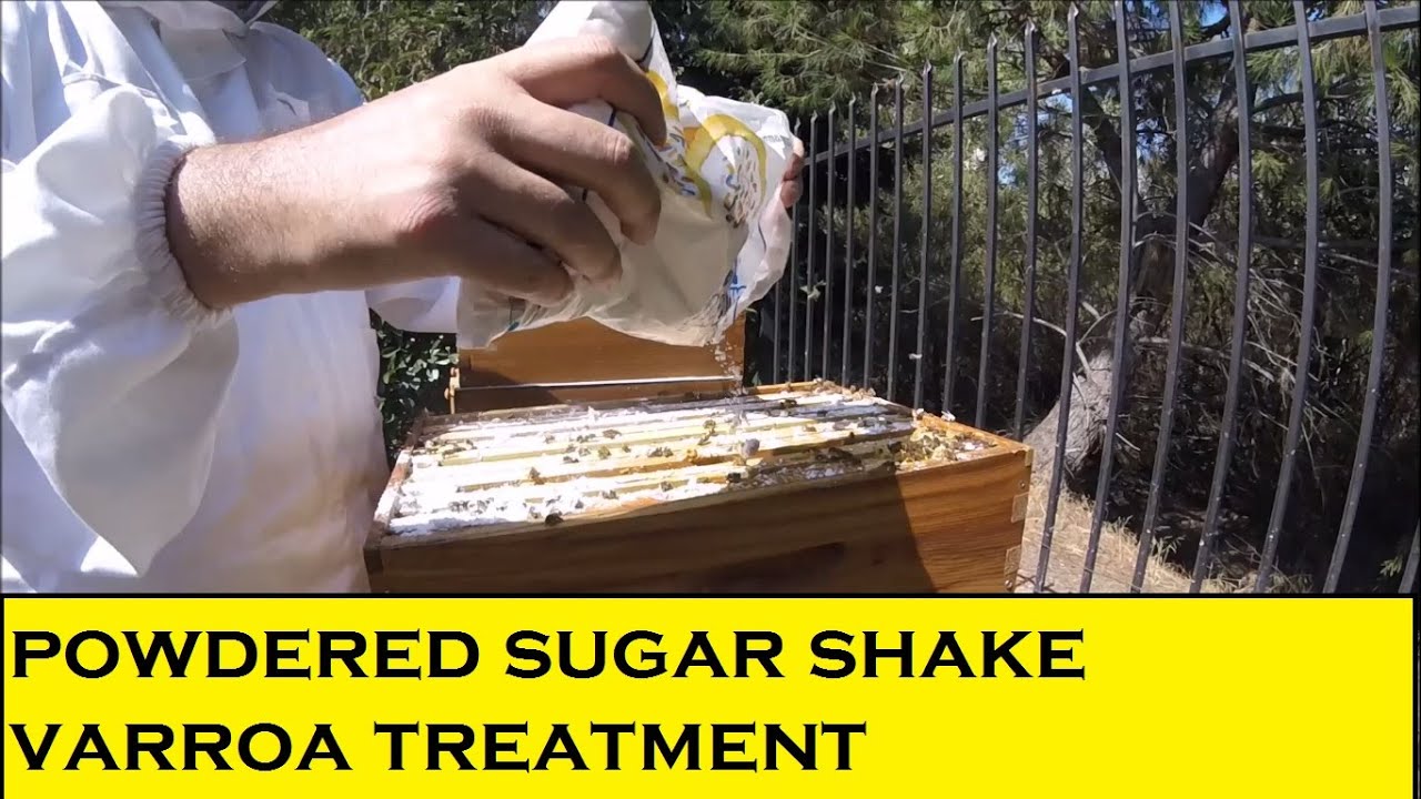 Flow Hive - Episode 13 - Powdered Sugar Varroa Treatment