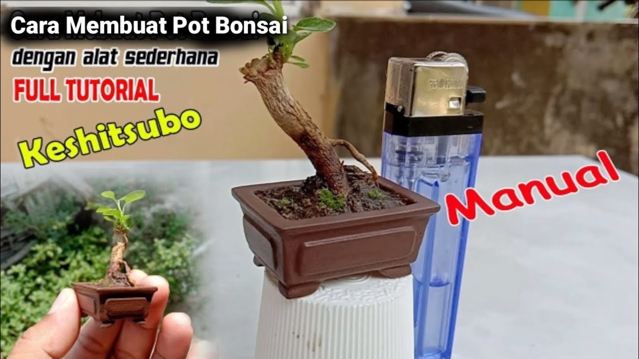 CARA MEMBUAT POT BONSAI KESHITSUBO || Pot Super Mini