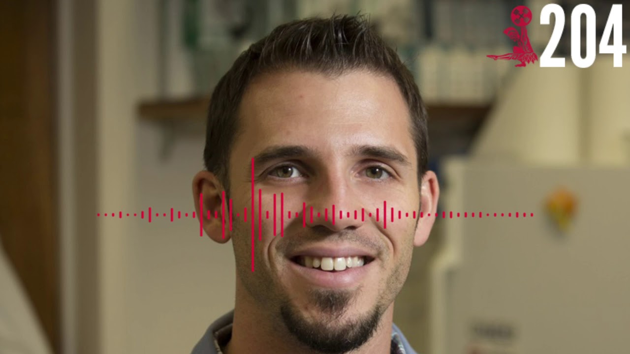 Eating for Sport vs Body Composition vs Longevity ft. Dr. Andy Galpin