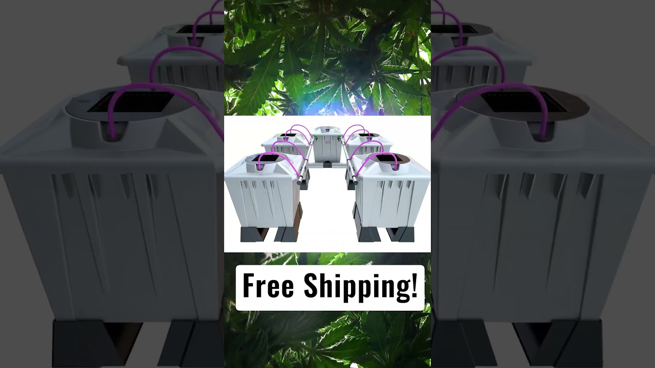 Black Dog LED 420 SALE IS LIVE!  20% Off all PhytoMAX-4 lights, FREE Shipping + FREE garden gift!