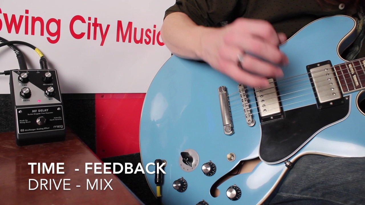 Moog MF Delay Pedal | Swing City Music