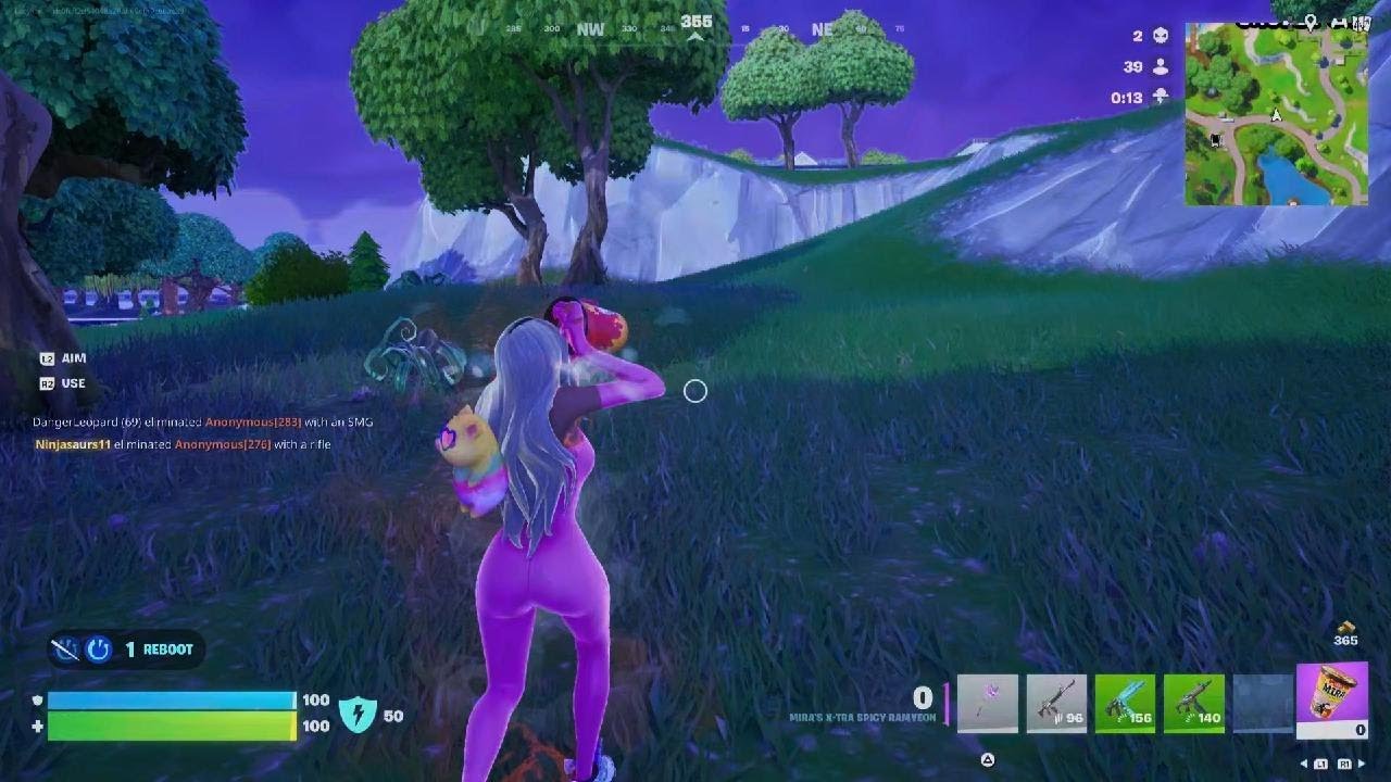 Fortnite_20260209162515
