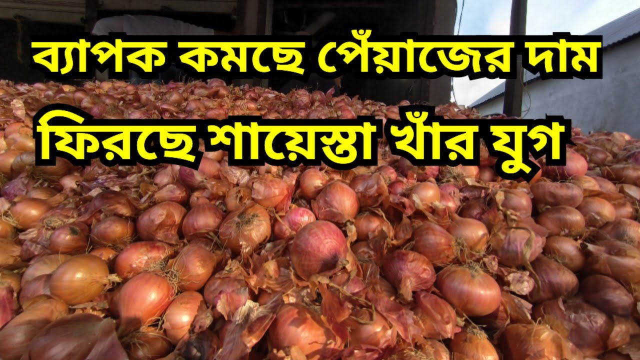24/06/2025  আজকের বাজারে পেঁয়াজের পাইকারি দাম || Onion price at Rosulpur Bazar, AGRO BD Faridpur