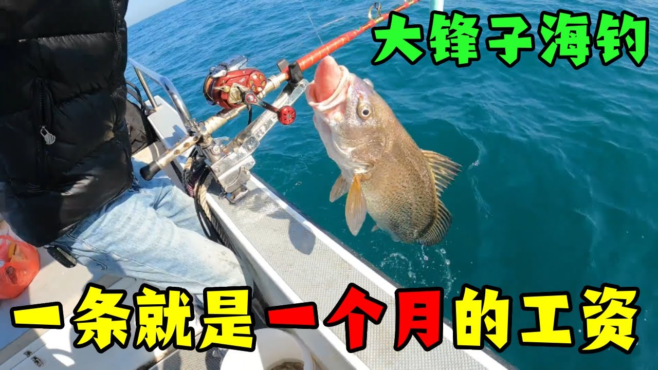 为什么痴迷海钓？只因深海红斑，一条就是一个月工资！【钓鱼大锋子】