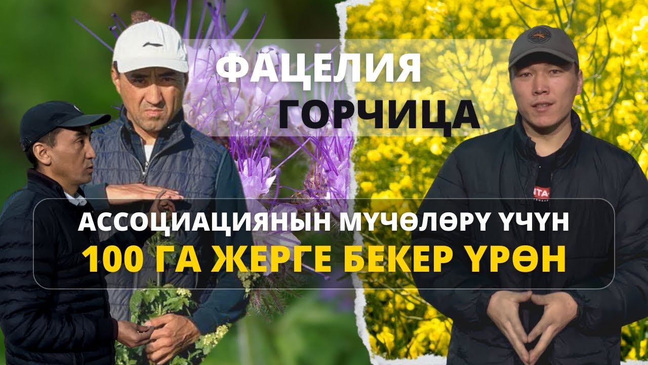 450 миң сомдук үрөн Мөмө ассоциациянын мүчөлөрүнө акысыз берилет
