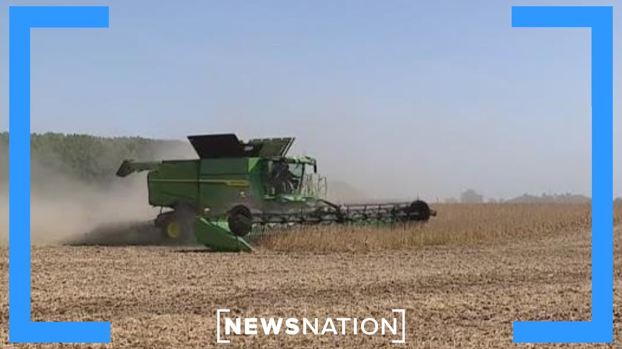 Farmers filing for bankruptcy as inflation hits seed prices | NewsNation Now