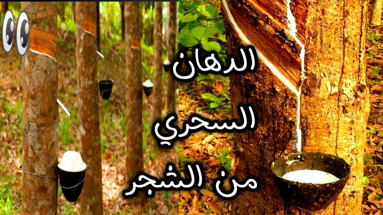 السحاب المطاطي  مع الماده السحريه علي تربيزا تلفزيون و اشكال السحاب المطاط