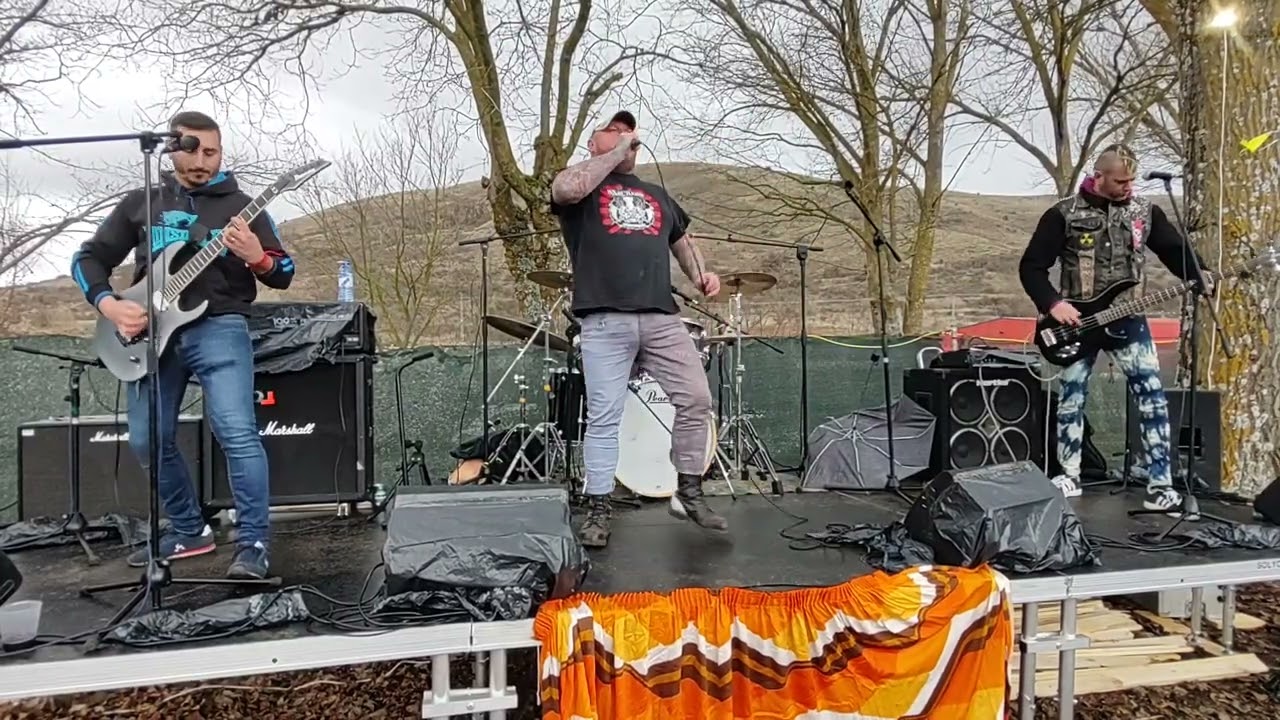 ANSIA VIVA en Pin pan Punk Sigüenza 2025