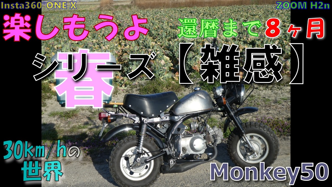 【雑感】【50モンキー】HONDA Monkey Z50J Insta360°ONE X #442  春