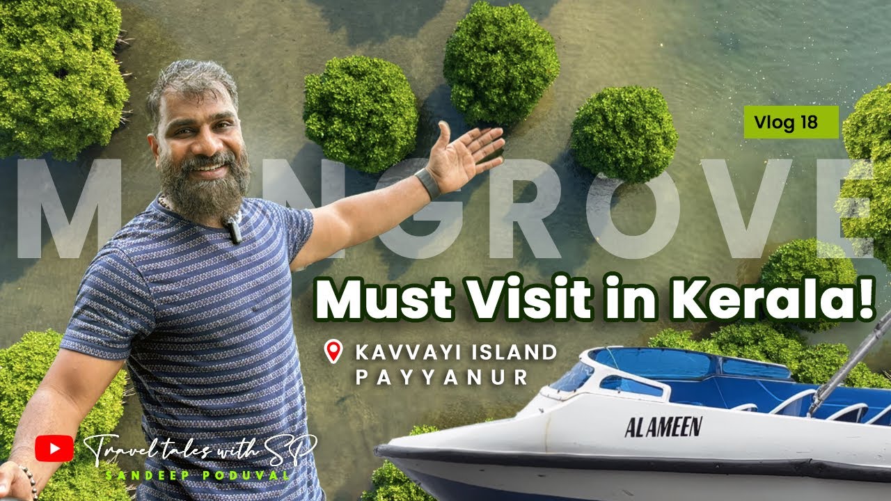 Mangrove Island in Payyanur! | Boat Ride & Mangrove Walk 🌿 🚤  #TravelTaleswithsp