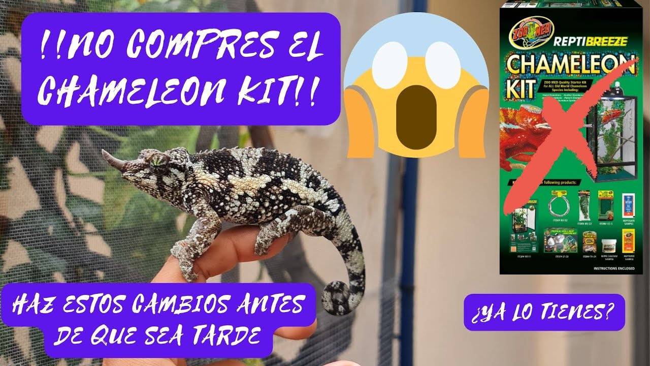 ¡Atención! no esperes más: Esto debes hacer con el Kit de camaleón antes de que sea tarde.