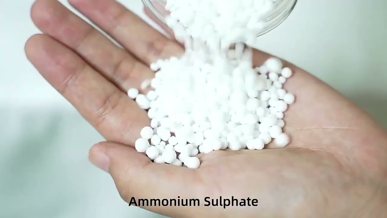 ammonium sulphate fertilizer nitrogen:20.5% sulfur:24% ammonium sulfate granular , powder , crystal