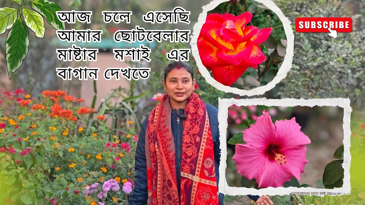 অপরূপ সুন্দর বাগান টিউশনের মধ্যে থেকে সময় বার করে এই বাগান করা। Beauty of garden