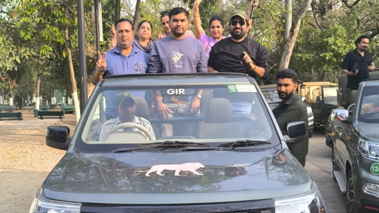 Gir National Park Gujarat 🏞️🏞️ Home of Asiatic Lion 🦁🦁 Safari experience and complete information 👈