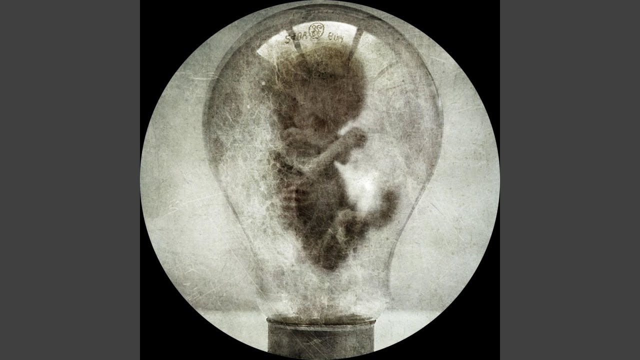 Void the C-Stem (Vsk Remix)