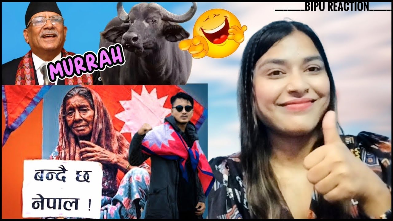 Mr. D Bandai Xa Nepal Rap | Official Music Video Reaction | Mr. d Bandai xa Nepal Reaction