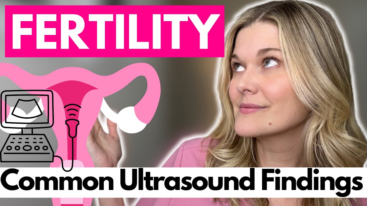 What Can An Ultrasound Reveal About Your Fertility and Reproductive Health?