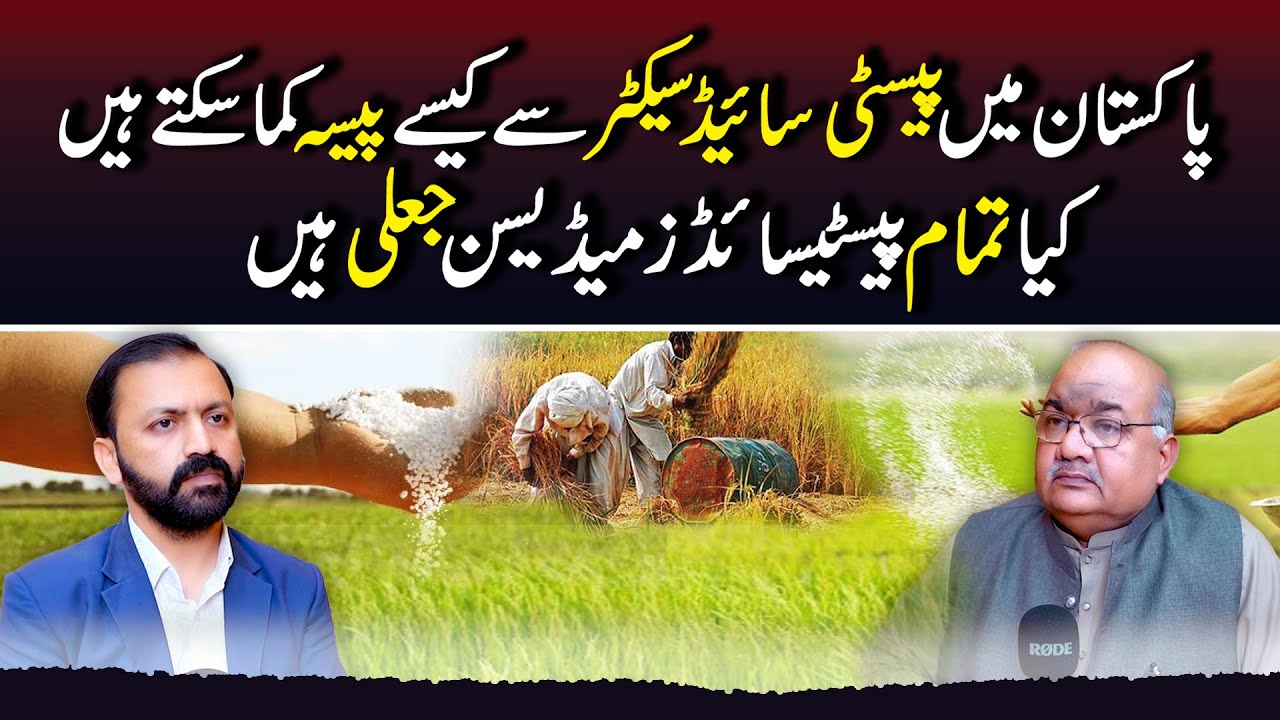 Is Pesticide Business Profitable in Pakistan | Agriculture Pesticide Medicine | South Punjab Digital