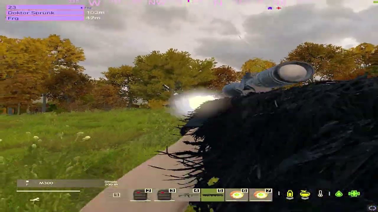 REARMED | DayZ Montage #11