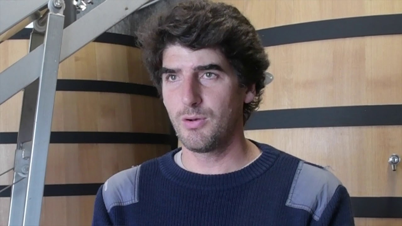 Vigneron, découvrir un métier avec jactiv.ouest-france.fr
