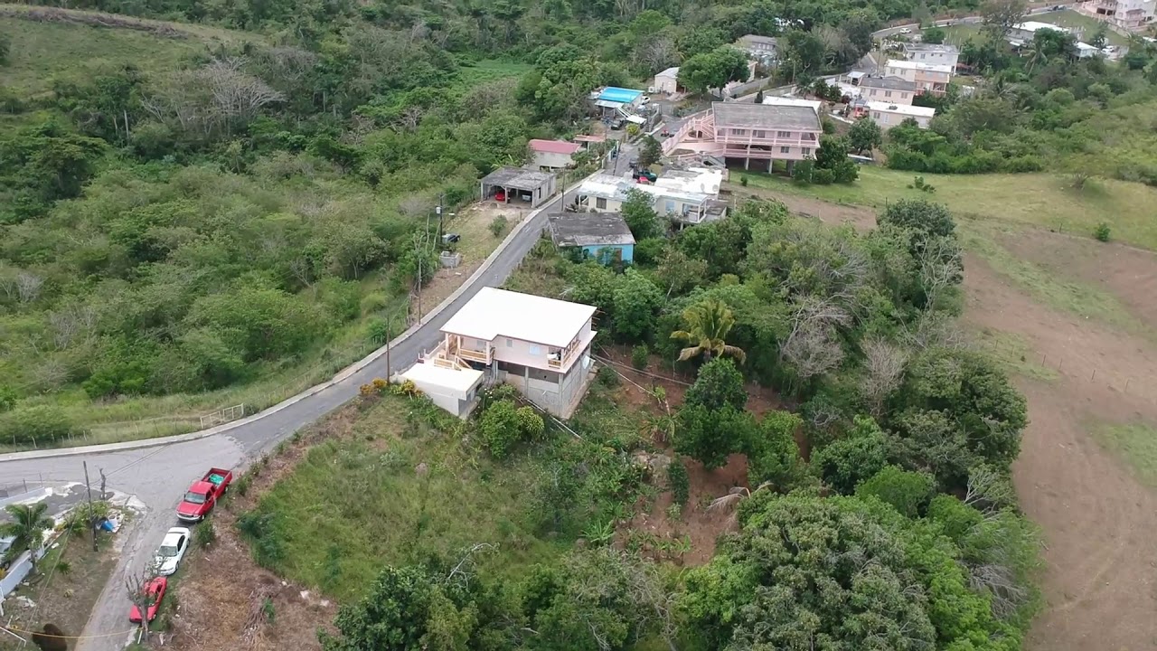 Parcelas Almacigo Bajo, Yauco, Puerto Rico