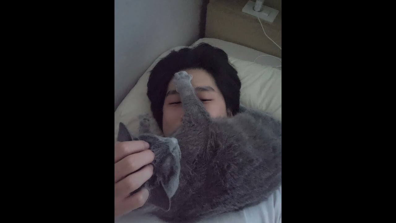 SUXIM - Folded (Cover)