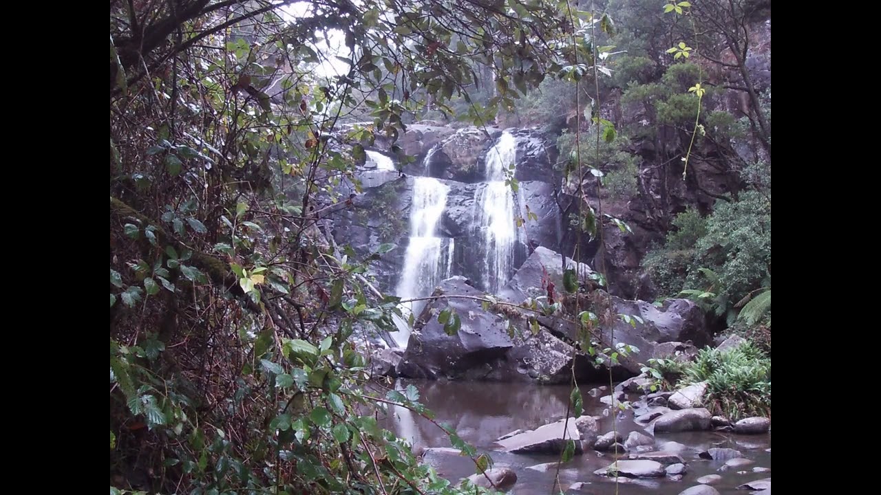 The Otways (Victoria, Australia) - Dyls Great Aussie Adventure