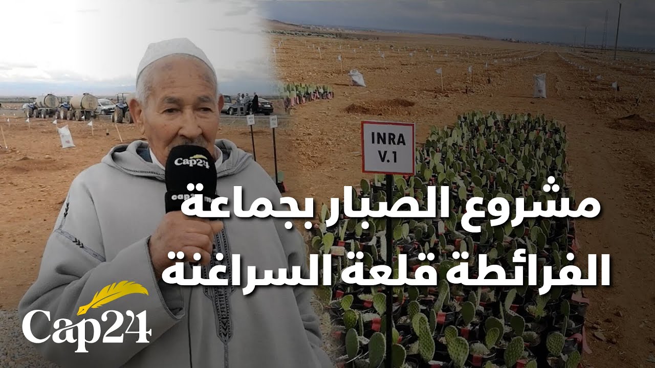 هذا هو مشروع الصبار الذي دشنه وزير الفلاحة بجماعة الفرائطة قلعة السراغنة