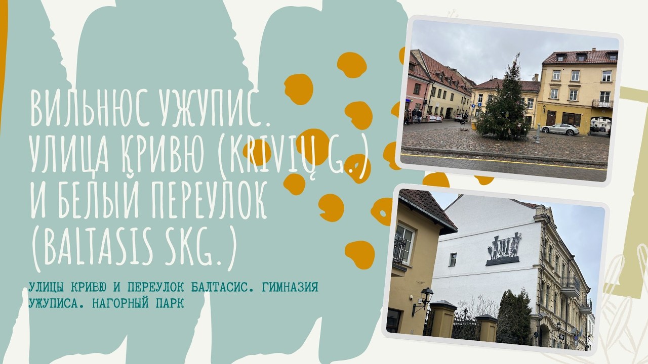 Заречье в Вильнюсе. Улица Кривю. Нагорный парк.