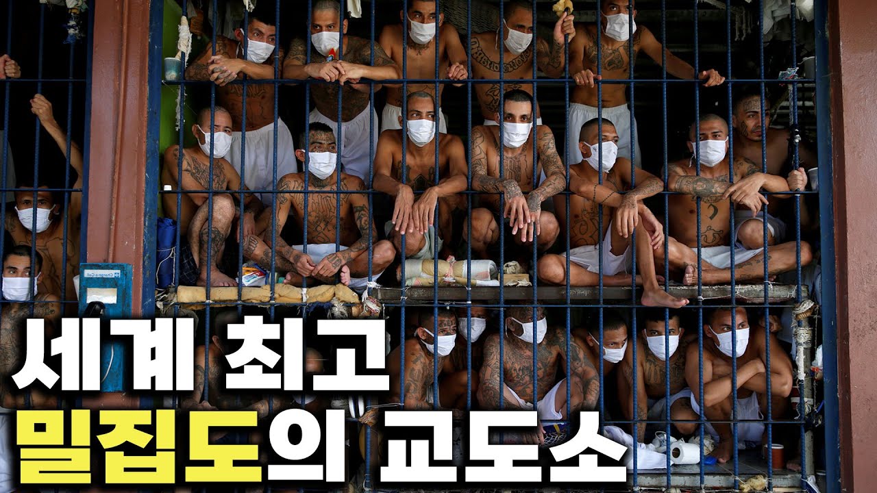 엘살바도르식 갱단 퇴치법