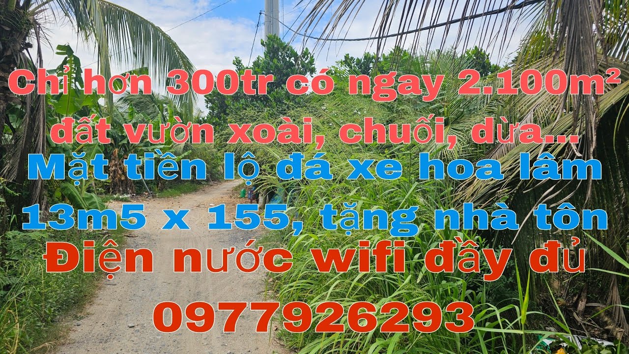Bán vườn dừa, xoài đang ra trái, tặng nhà, giá rẻ  340tr hết đất, mặt tiền đá 13m5 x 155, chợ 1km